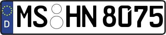 MS-HN8075