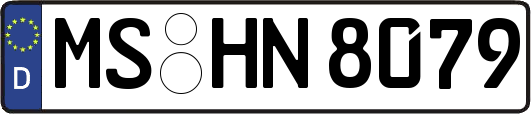 MS-HN8079