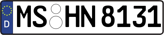 MS-HN8131