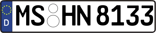 MS-HN8133