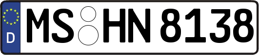 MS-HN8138