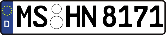MS-HN8171