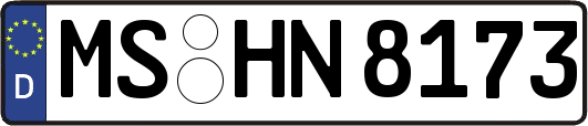 MS-HN8173