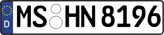 MS-HN8196