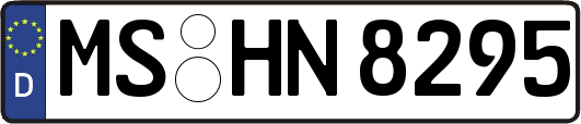 MS-HN8295