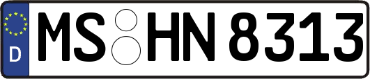 MS-HN8313