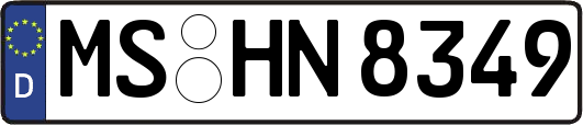 MS-HN8349