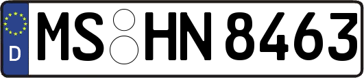 MS-HN8463