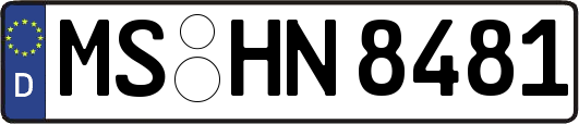MS-HN8481