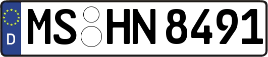 MS-HN8491