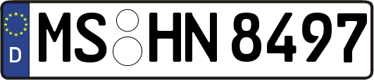 MS-HN8497