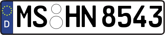 MS-HN8543