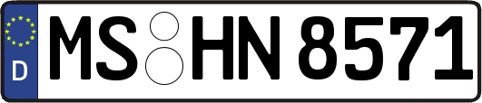 MS-HN8571