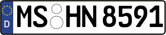 MS-HN8591
