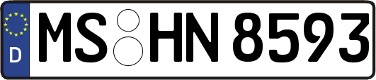 MS-HN8593