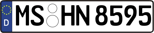 MS-HN8595