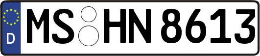 MS-HN8613