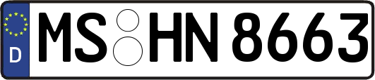 MS-HN8663