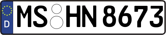 MS-HN8673