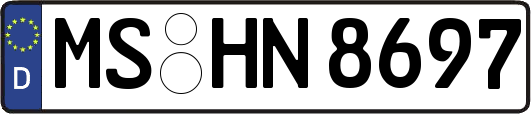 MS-HN8697