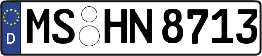 MS-HN8713