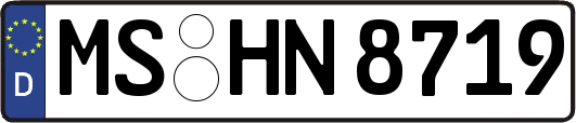 MS-HN8719