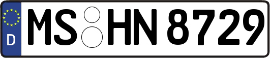 MS-HN8729