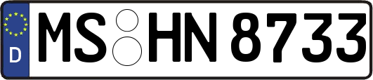 MS-HN8733