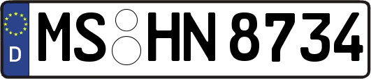 MS-HN8734