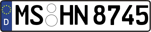 MS-HN8745