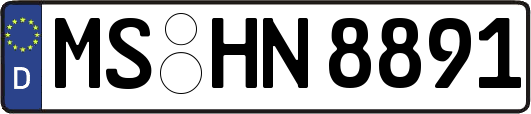 MS-HN8891