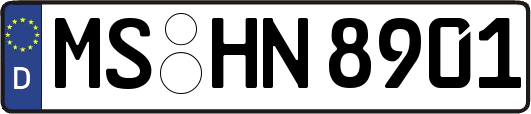 MS-HN8901