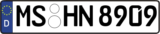 MS-HN8909