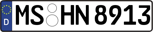 MS-HN8913