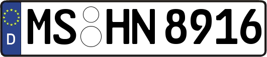 MS-HN8916