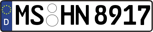 MS-HN8917