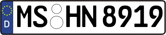 MS-HN8919