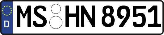 MS-HN8951