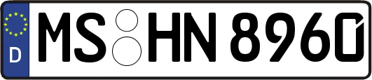 MS-HN8960