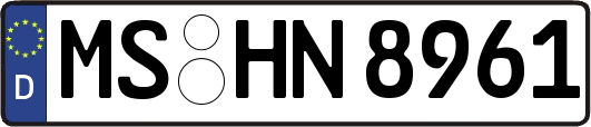 MS-HN8961