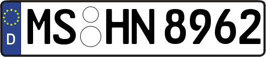 MS-HN8962