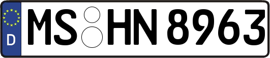 MS-HN8963