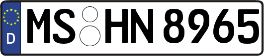 MS-HN8965
