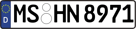 MS-HN8971