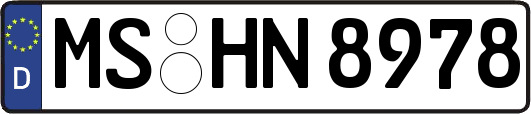 MS-HN8978