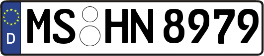 MS-HN8979