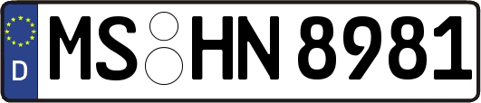 MS-HN8981