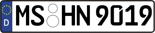 MS-HN9019