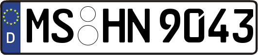 MS-HN9043