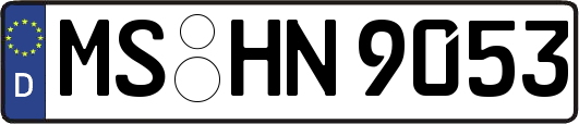 MS-HN9053